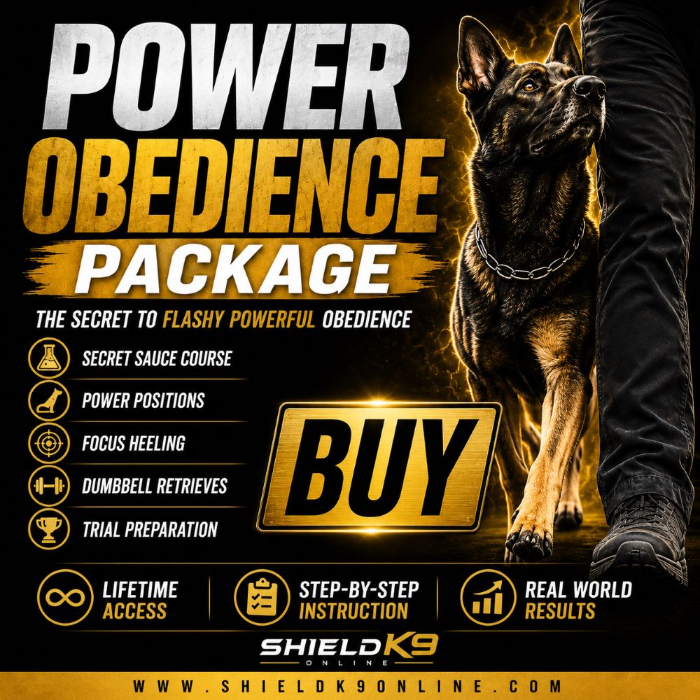 Power Obedience Package