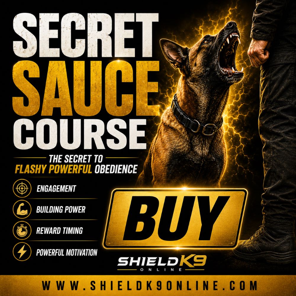 The Secret Sauce Course