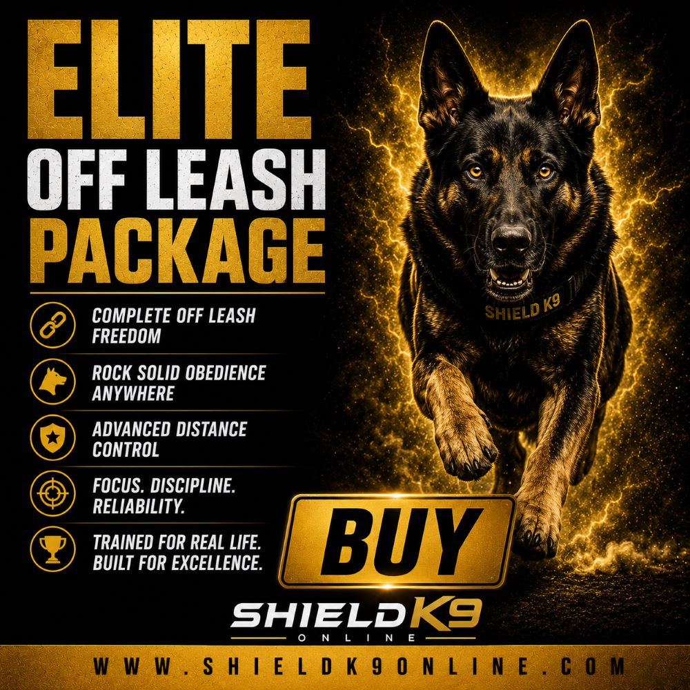 Elite Off-Leash Package