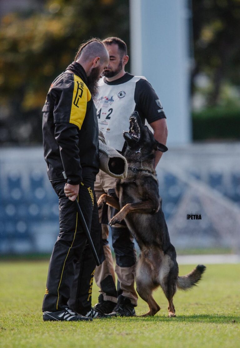 Build a Protection Dog Bundle Course