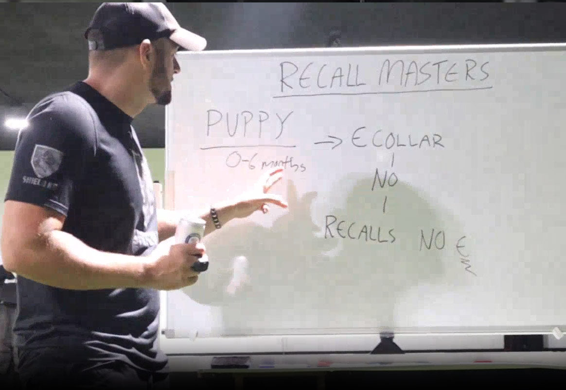 Recall Masters Course